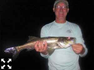 Jon Johnston, from PA, had good action catching and releasing snook on flies while fishing dock lights recently with Capt. Rick Grassett.