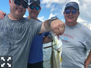 Mike, Mike and Dan from the Chi town area.