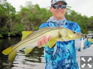 October should be a good month for snook on the flats. Kyle Ruffing, from Sarasota, caught and released this one on a top water plug while fishing Tampa Bay with Capt. Rick Grassett in a previous October.