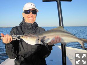 Tatiana Migliaretti, from Switzerland, caught and released this cobia in Sarasota Bay on a CAL jig with a shad tail while fishing with Capt. Rick Grassett in a previous October.