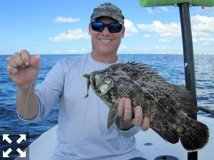 Steve caught this nice looking tripletail.