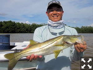 Jon Yenari, from Sarasota, had good action catching and releasing snook and reds on plugs on a trip in Gasparilla Sound near Boca Grande with Capt. Rick Grassett in a previous November.