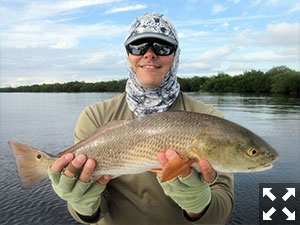 Kyle Ruffing (bottom), both from Sarasota, had good action catching and releasing snook and reds on plugs on a trip in Gasparilla Sound near Boca Grande with Capt. Rick Grassett in a previous November.