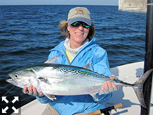 Nanette Hara, from Tampa, with a big false albacore caught and released on flies on a couple of different trips with Capt. Rick Grassett in a previous November.