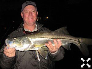 Kirk Grassett, from DE, had good action catching and releasing snook and tripletail on flies while fishing in Sarasota with Capt. Rick Grassett.