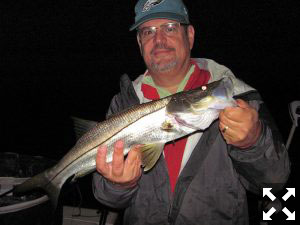 Nick Delle Donne, from PA, had good action catching and releasing snook and tripletail on flies while fishing in Sarasota with Capt. Rick Grassett.