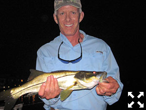 Stewart Lavelle' from Sarasota, had some action catching and releasing snook on flies while fishing dock lights on a couple of different trips recently with Capt. Rick Grassett.