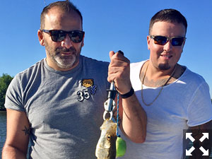 These two Canadian boys from Toronto braved the red tide and frigid 82 degree day to catch a few snook and enjoy what Sarasota is famous for.