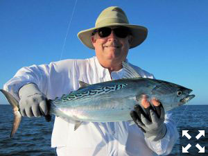 Lynn Skipper, from Apollo Beach, FL,with a false albacore (little tunny) caught and released on a fly while fishing with Capt. Rick Grassett in a previous December.