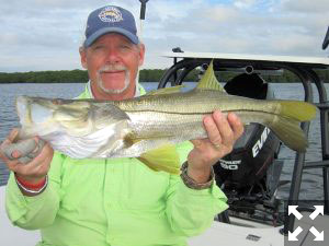 Mike Perez, from Sarasota, with a nice snook caught and released on a top water plug while fishing Sarasota Bay with Capt. Rick Grassett in a previous December.