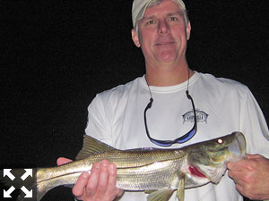 Mike Watkins, from Sarasota, with a snook caught and released on a CAL jig with a shad tail while fishing dock lights at night recently with Capt. Rick Grassett.