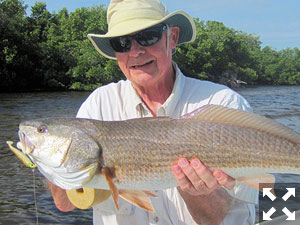 Keith McClintock, from Lake Forest, IL, with a 28" red caught and released on a CAL jig with a shad tail while fishing Gasparilla Sound near Boca Grande with Capt. Rick Grassett.