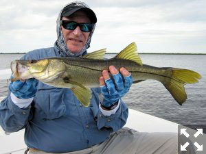 Jerry Roth, from Sanford, FL, with a snook caught and released on a top water plug while fishing Tampa Bay with Capt. Rick Grassett.