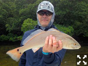  Kyle Ruffing, from Sarasota, had good action catching and releasing reds and trout on CAL Shad tails while fishing Tampa Bay with Capt. Rick Grassett.