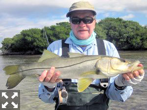 Wading clear shallow flats and bars is a good winter tactic for big trout, snook and reds. Nick Reding, from St. Louis, with a nice snook caught and released on a Grassett Flats Minnow fly while wading a Sarasota Bay sand bar in a previous January.