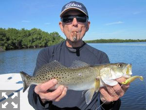 Hal D'Orazio, from IL, with a trout caught and released on a CAL jig with a shad tail while fishing the backcountry of Gasparilla Sound near Boca Gande with Capt. Rick Grassett.