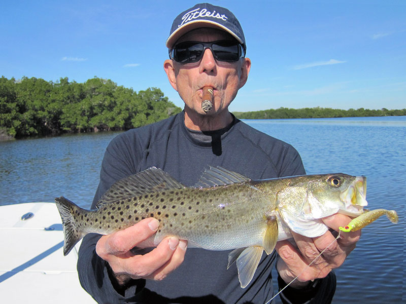 Top 10 Speckled Trout (Spotted Sea Trout) Fishing Lures – Siesta