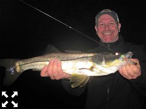 Tim Hearon, from Siesta Key, with a snook caught and released on a fly while fishing the ICW at night in the ICW with Capt. Rick Grassett recently.