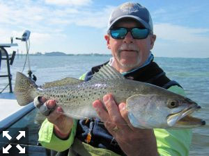 February is a good month for big trout in skinny water. Mike Perez, from Sarasota, waded a Sarasota Bay sand bar with Capt. Rick Grassett and caught and released this big trout on a fly in a previous February.