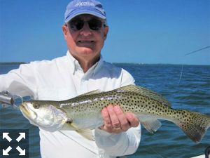 Trout fishing should be good during March. Alan Sugar, from MI, caught and released this one on an Ultra Hair Clouser fly while fishing Sarasota Bay with Capt. Rick Grassett in a previous March.