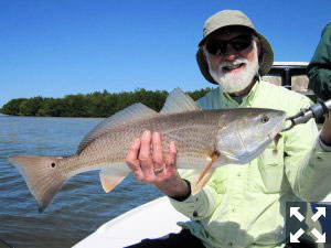 Reds should be a good option during March. Chuck Hempfling, from IL caught and released this one on a CAL jig with a shad tail while fishing the backcountry of Gasparilla Sound near Boca Grande with Capt. Rick Grassett in a previous March.