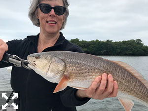 Dr. Jean Perry hooked this nice looking Red.