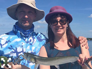 Shelly caught and released this big ladyfish.