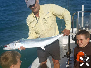 We've been catching some good-sized king mackerel.
