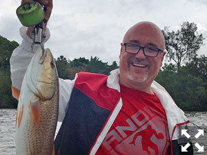 Rhode Island guy Nelson happily displays this big, beautiful redfish he caught and released in Sarasota Bay.