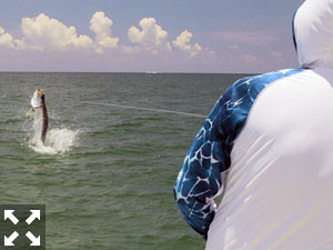 June should be a great month to fly fish for tarpon in the coastal gulf. Jeb Mulock, from Bradenton, FL caught and released this one on a fly while fishing with Capt. Rick Grassett in a previous June.