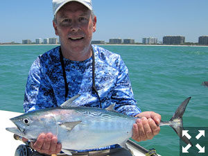 Mark Nielson, from Seaford, DE, with a false albacore caught and released on a Grassett Snook Minnow fly while fishing the coastal gulf with Capt. Rick Grassett.