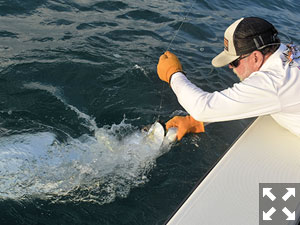 Capt. Grassett helped catch and released this tarpon along with Dave Reinhart.