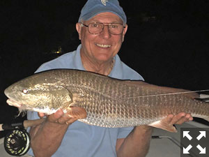 Robin Calitri, from NH, caught this beautiful 29-inch redfish fishing the dock lights.